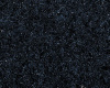 Cambrian Black