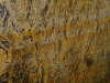 Golden Storm