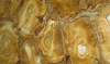 Stone Wood