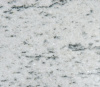 Venice White